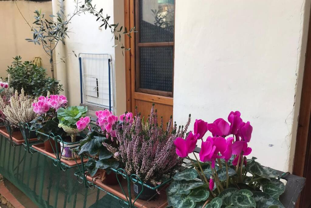 Deluxe Apartment In The Centre Of Florence Ngoại thất bức ảnh